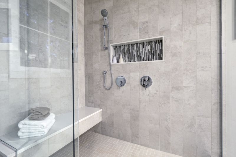 Sleek Shower with Recessed Shelves